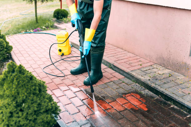 Deck Cleaning Services